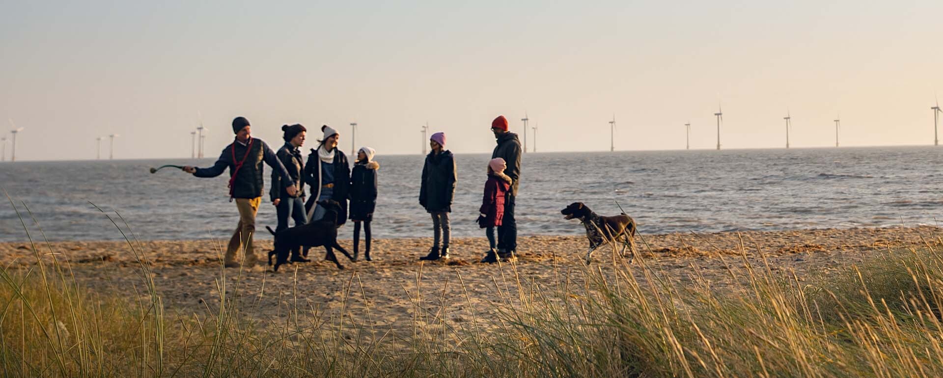 Family with dog walking on a beach